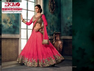 Bridal-Wedding Lehenga Cholis (11)