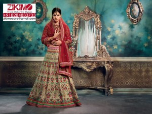 Bridal-Wedding Lehenga Cholis (5)