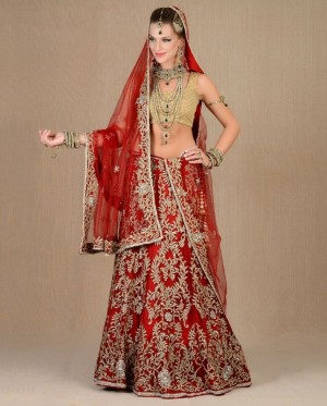 Alluring  sippi and Stone Bridal Lehenga on Georgette Fabric
