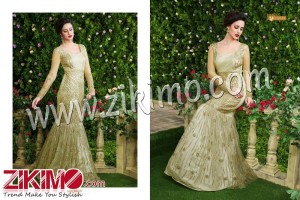 Voilet 4606 Biege Net Wedding/Party Wear Gown