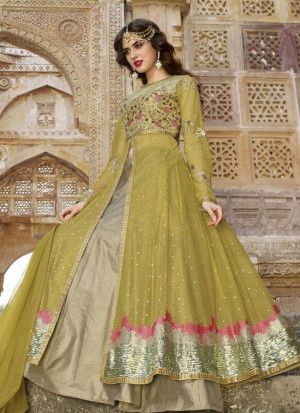 Pistagreen1442 Net Front Cut Anarkali Suit With Georgette Dupatta at Zikimo