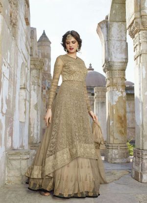 GreyGolden1448 Net Lehenga Choli With Georgette Dupatta at Zikimo